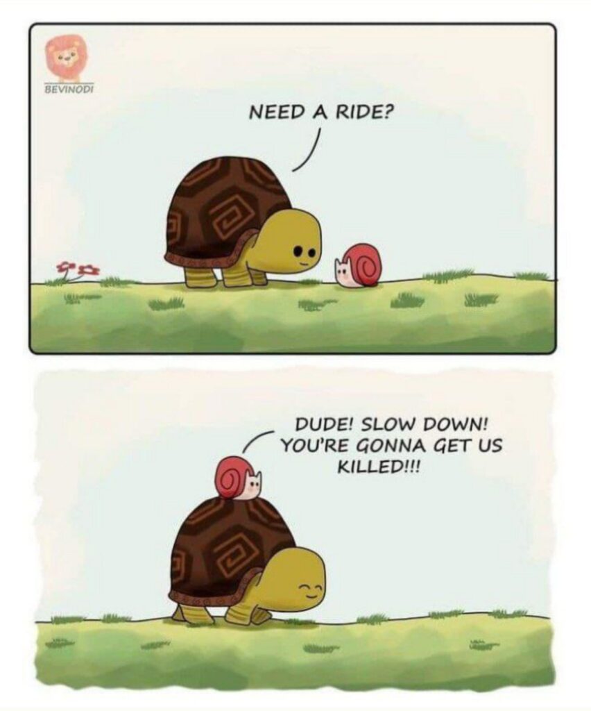 When the slow life gets a little too fast 🚀🐢🐌 #TurtleTaxi #SlowAndSteady #RelatableMeme